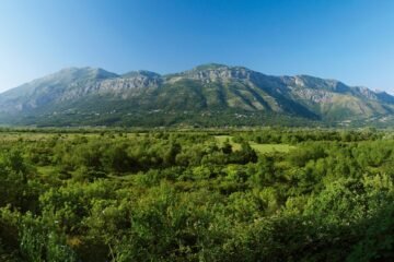 01_Snijeznica-iz-Konavoskog-polja-Alan-Caplar1200px